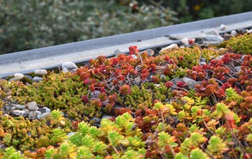 the cost of Trevethin green roof installation